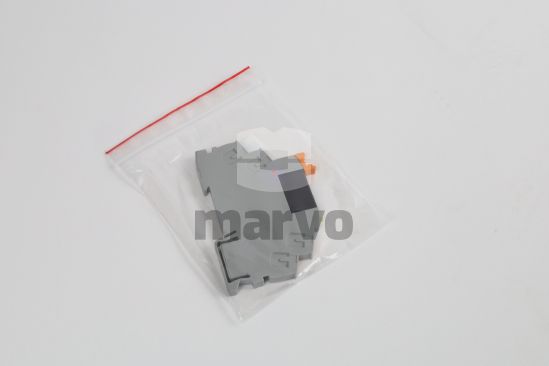 RIF-0-OPT-24DC/24DC/2