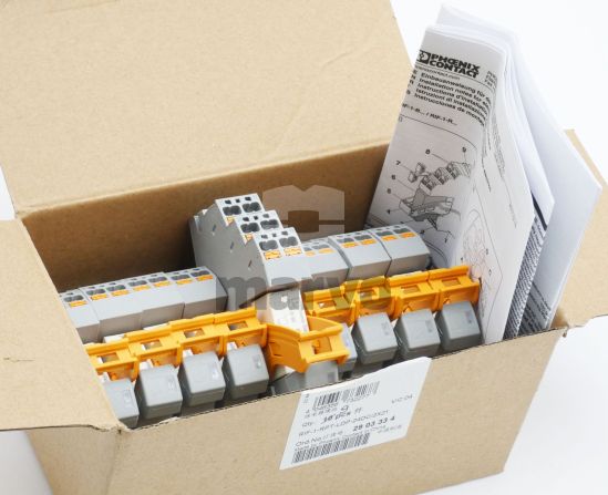 RIF-1-RPT-LDP-24DC/2X21