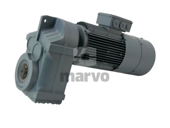 FA67GDV100L4BMGTHES1S