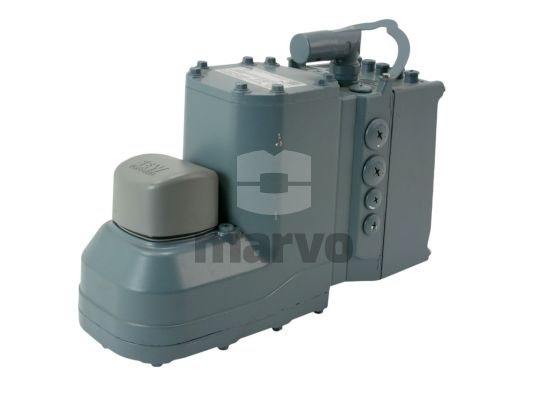 MGFTT2DFCCDIAZ1ZDSPIVPGBW1